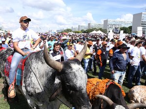 Emenda que torna a vaquejada constitucional será promulgada na terça-feira