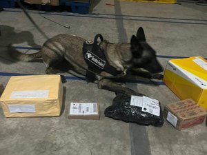 Receita Federal e Correios realizam operação conjunta e apreendem materiais ilícitos