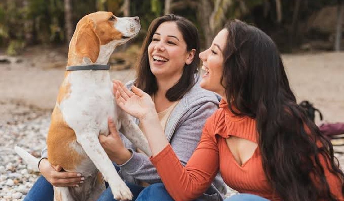 Prefeitura de Palmeira enviará à Câmara projeto que cria Código de Defesa e Bem-Estar Animal