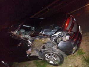 Animal na pista causa grave acidente na AL 101 Sul