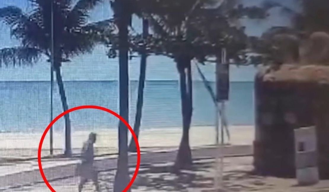 Videomonitoramento registra instante em que vândalo põe fogo na escultura ‘Boi-Bumbá’ no Jaraguá