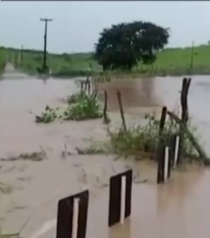[Vídeo] Ponte fica submersa com a elevação do rio Perucaba, em Arapiraca