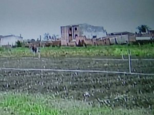 Reeducandos produzem 30 toneladas de alimentos, conseguem remuneração e redução de pena