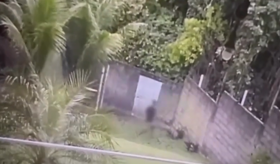 [Vídeo] Homem tenta fugir após invadir casa mas é preso por policial civil de plantão