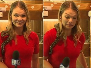 [Vídeo] Cobra ataca microfone de repórter na Austrália