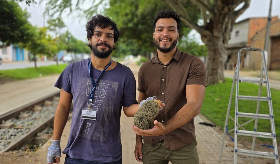 Arapiraca instala solução baseada na natureza para medir qualidade do ar