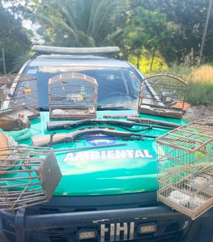Polícia Militar apreende aves silvestres, armas e armadilhas de caça em Porto de Pedras