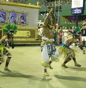 Mangueira é a campeã do carnaval carioca de 2019