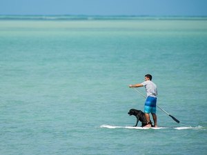 Alagoas apresenta um fluxo anual de mais de 750 mil hóspedes; número aumentou na crise