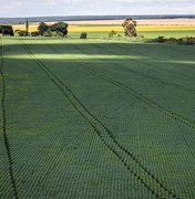 Governo Federal lança Plano Safra 2025/2026 com R$ 516,2 bilhões para impulsionar agro brasileiro