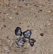Manchas de óleo são encontradas na Praia do Toque, em São Miguel dos Milagres