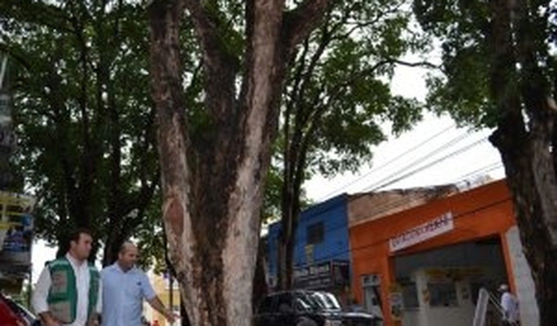 Rua das Árvores será interditada nesta quinta