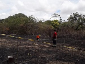 Incêndio de grandes proporções atinge vegetação na Santa Amélia