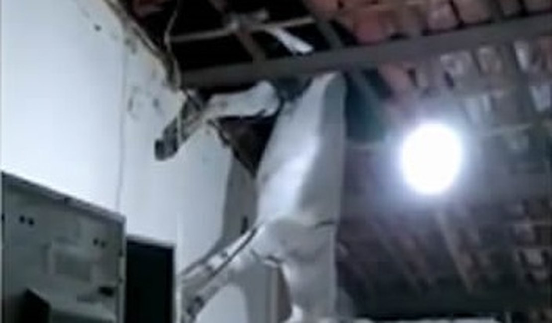 Vídeo mostra jumento caindo de telhado de casa no Sertão da PB