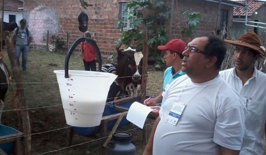 Produtores desejam bater meta de 15kg de  leite no Torneio de Lajes do Caldeirão