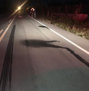 Homem é atropelado e morre em rodovia no Sertão de Alagoas