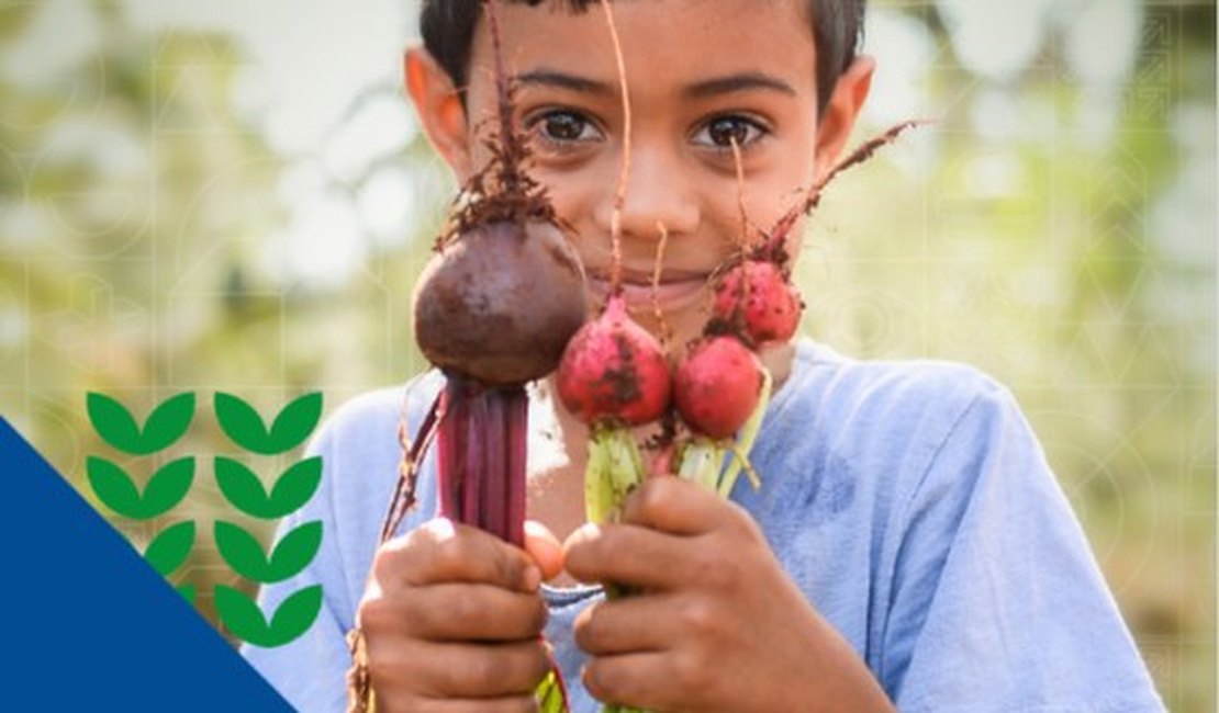 Professor da Ufal participa de pesquisa sobre estado nutricional de crianças