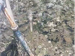 Furto de água seca fonte de abastecimento na zona rural de Penedo