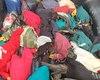 Polícia desmantela rinha de galo e resgata 23 animais no interior de Alagoas
