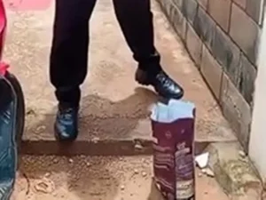 Homem é investigado por impedir alimentação de gatos comunitários