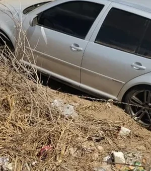 Motorista invade terreno após ser 'fechado' por caminhão na AL-220, em Arapiraca