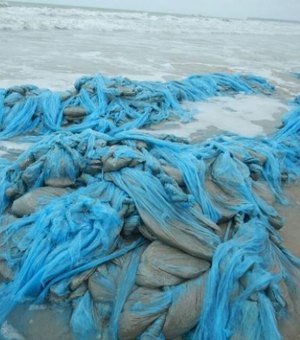 Instituto do Meio Ambiente identifica material que surgiu em praia de Ipioca