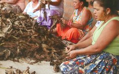 Mulheres destaladeiras de fumo de Arapiraca