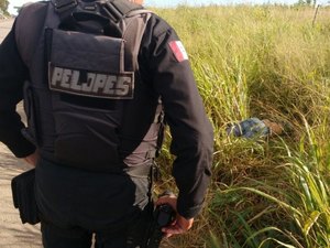 Corpo de jovem é encontrado à margem da rodovia AL-220, no Agreste