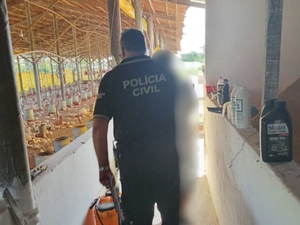 Foragido por estupro em São Paulo é preso trabalhando em granja no Agreste de Alagoas