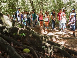 Maceió Rosa leva yoga, pilates e recreação ao Parque Municipal