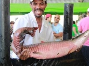Terceira edição da Feira do Peixe Vivo de Maceió é adiada