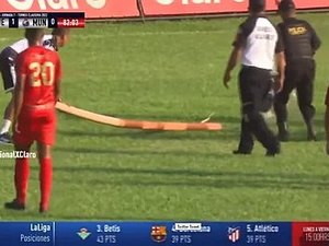 Cobra invade campo e faz jogo ser paralisado na Guatemala; veja vídeo