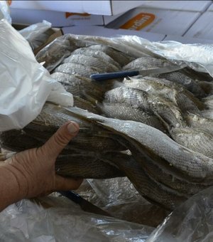 Prefeitura de Palmeira dos Índios organiza grande ação para distribuição de peixes