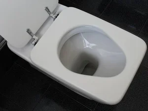 Bombeiros são chamados para retirar cobra de vaso e encontram cocô gigante