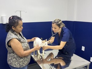 HC Pet muda histórias e leva mais saúde e dignidade aos pets de Maceió