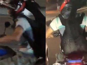 Motociclista que transportou cabra na garupa é identificado e levado à polícia
