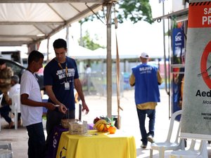 Casos de dengue no Brasil caem 60% nas primeiras semanas do ano