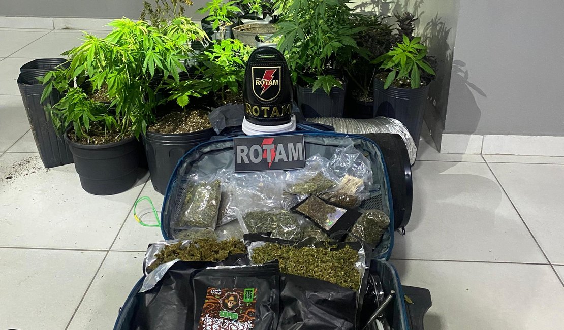 PM desarticula laboratório de drogas e localiza plantio de maconha na Barra Nova