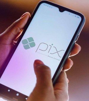 Pix é o principal meio de pagamento pelo segundo ano seguido no país