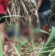 Homem é atacado com golpes de arma branca em canavial no município de Rio Largo