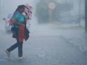 Novo temporal causa estragos em Palmeira dos Índios