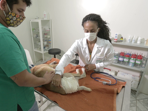 Braskem e Ufal desenvolvem programa de cuidado com animais em Maceió