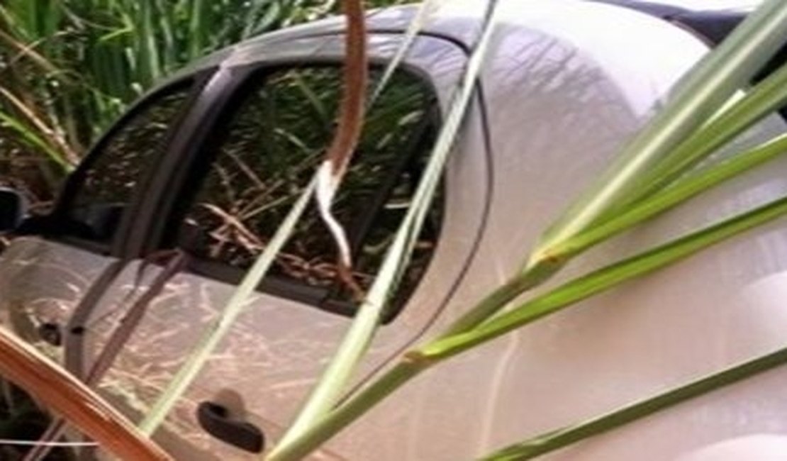 Carro utilizado em tentativa de assalto na BR-101 é encontrado em Coruripe