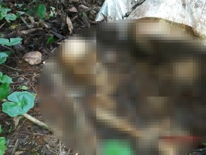 Ossada humana pode ser de Allan Teófilo ou Allyson Rodrigo