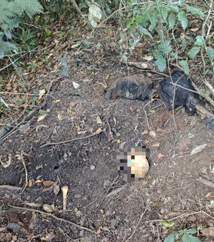 Ossada humana é encontrada com roupas durante perícia em Coruripe