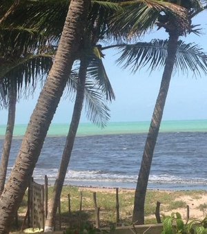 Moradores denunciam mancha negra na praia de Riacho Doce 