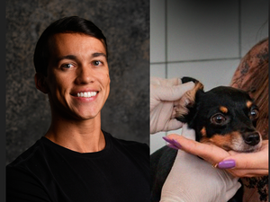 Deputado Delegado Leonam propõe isentar abrigos de animais de conta de luz