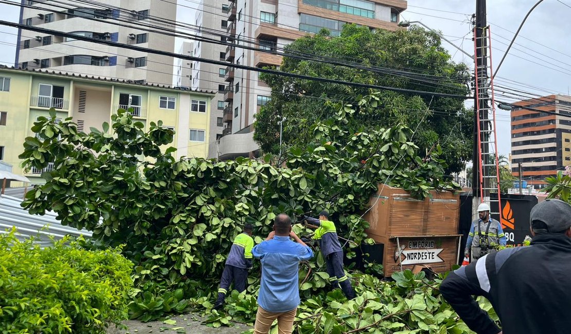 Árvore cai em cima de carrinho de food truck na Ponta Verde