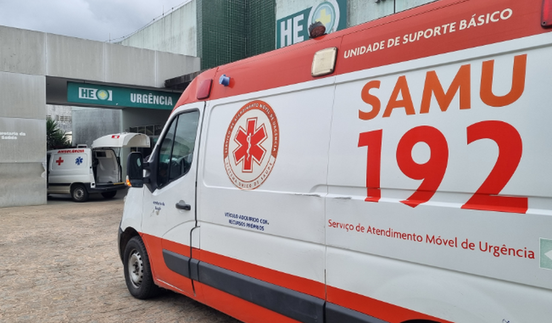 Motociclista fica ferido após colisão traseira na AL-220, em Arapiraca