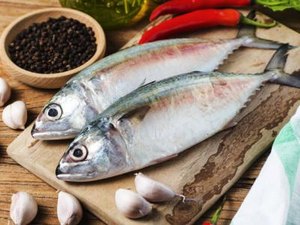 Prefeitura de Palmeira realizará entrega de peixes durante a Semana Santa